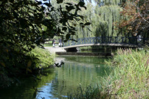 york-campus-3