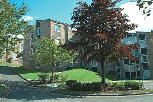 brighton_universidad