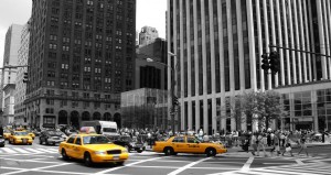 nyprogramasocial2