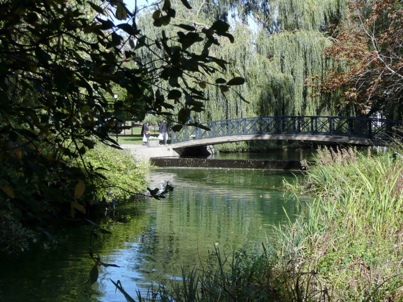 International summer camps York Agencia BEST